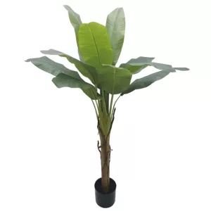 ΔΕΝΤΡΟ ΜΠΑΝΑΝΙΑ ΜΟΝΗ REAL TOUCH ΣΕ ΓΛΑΣΤΡΑ - Υ155cm 4/ΚΙΒ.ΔΕΝΤΡΟ ΜΠΑΝΑΝΙΑ ΜΟΝΗ REAL TOUCH ΣΕ ΓΛΑΣΤΡΑ - Υ155cm 4/ΚΙΒ.