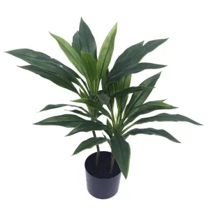 ΦΥΤΟ ΔΡΑΚΑΙΝΑ ΠΡΑΣΙΝΟ REAL TOUCH ΣΕ ΓΛΑΣΤΡΑ - Υ60cm 6/ΚΙΒΦΥΤΟ ΔΡΑΚΑΙΝΑ ΠΡΑΣΙΝΟ REAL TOUCH ΣΕ ΓΛΑΣΤΡΑ - Υ60cm 6/ΚΙΒ