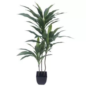 ΔΕΝΤΡΟ ΔΡΑΚΑΙΝΑ ΠΡΑΣΙΝΟ REAL TOUCH ΣΕ ΓΛΑΣΤΡΑ - Υ95cm 6/ΚΙΒΔΕΝΤΡΟ ΔΡΑΚΑΙΝΑ ΠΡΑΣΙΝΟ REAL TOUCH ΣΕ ΓΛΑΣΤΡΑ - Υ95cm 6/ΚΙΒ