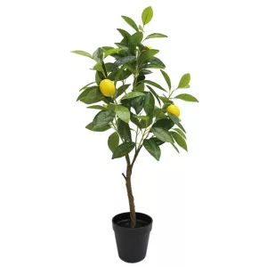 ΔΕΝΤΡΟ ΛΕΜΟΝΙΑ ΜΙΚΡΗ REAL TOUCH ΣΕ ΓΛΑΣΤΡΑ - Υ72cm 4/ΚΙΒΔΕΝΤΡΟ ΛΕΜΟΝΙΑ ΜΙΚΡΗ REAL TOUCH ΣΕ ΓΛΑΣΤΡΑ - Υ72cm 4/ΚΙΒ