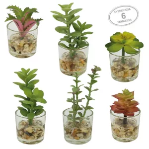 MINI ΚΑΚΤΑΚΙΑ MIX ΣΕ ΓΥΑΛΙΝΟ ΚΑΣΠΩ ΣΕΤ/6 - 5x12cm 6/16ΚΙΒMINI ΚΑΚΤΑΚΙΑ MIX ΣΕ ΓΥΑΛΙΝΟ ΚΑΣΠΩ ΣΕΤ/6 - 5x12cm 6/16ΚΙΒ