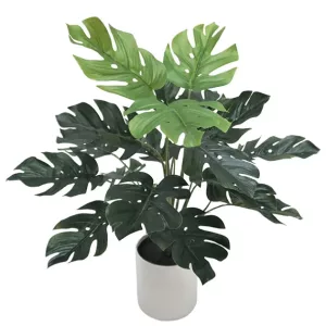 ΦΥΤΟ ΜΟΝΣΤΕΡΑ REAL TOUCH ΣΕ ΚΑΣΠΩ - Υ40cm 12/ΚΙΒΦΥΤΟ ΜΟΝΣΤΕΡΑ REAL TOUCH ΣΕ ΚΑΣΠΩ - Υ40cm 12/ΚΙΒ