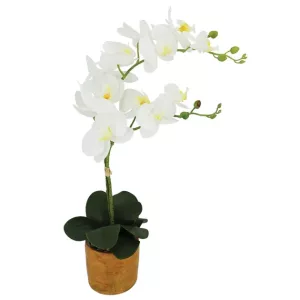 ΟΡΧΙΔΕΑ ΠΕΤΑΛΟΥΔΑ x2 ΛΕΥΚΟ REAL TOUCH ΣΕ ΚΑΣΠΩ Υ63cm 6/ΚΙΒΟΡΧΙΔΕΑ ΠΕΤΑΛΟΥΔΑ x2 ΛΕΥΚΟ REAL TOUCH ΣΕ ΚΑΣΠΩ Υ63cm 6/ΚΙΒ