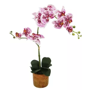 ΟΡΧΙΔΕΑ ΠΕΤΑΛΟΥΔΑ x2 ΜΩΒ/ΡΟΖ REAL TOUCH ΣΕ ΚΑΣΠΩ Υ63cm 1/6ΚΙΒΟΡΧΙΔΕΑ ΠΕΤΑΛΟΥΔΑ x2 ΜΩΒ/ΡΟΖ REAL TOUCH ΣΕ ΚΑΣΠΩ Υ63cm 1/6ΚΙΒ