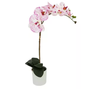 ΟΡΧΙΔΕΑ ΛΕΥΚΟ/ΡΟΖ REAL TOUCH ΣΕ ΚΑΣΠΩ Y47cm 6/36ΚΙΒΟΡΧΙΔΕΑ ΛΕΥΚΟ/ΡΟΖ REAL TOUCH ΣΕ ΚΑΣΠΩ Y47cm 6/36ΚΙΒ