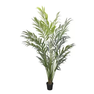 ΔΕΝΤΡΟ REAL TOUCH ΦΟΙΝΙΚΑΣ ΣΕ ΚΑΣΠΩ - Y250cm 1/KIBΔΕΝΤΡΟ REAL TOUCH ΦΟΙΝΙΚΑΣ ΣΕ ΚΑΣΠΩ - Y250cm 1/KIB
