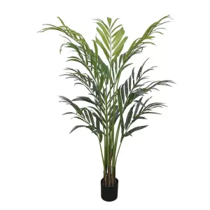 ΔΕΝΤΡΟ REAL TOUCH ΦΟΙΝΙΚΑΣ ΣΕ ΚΑΣΠΩ - Y190cm 4/KIBΔΕΝΤΡΟ REAL TOUCH ΦΟΙΝΙΚΑΣ ΣΕ ΚΑΣΠΩ - Y190cm 4/KIB