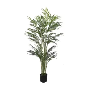 ΔΕΝΤΡΟ REAL TOUCH ΦΟΙΝΙΚΑΣ ΜΠΑΜΠΟΥ ΣΕ ΚΑΣΠΩ - Υ180cm 2/KIBΔΕΝΤΡΟ REAL TOUCH ΦΟΙΝΙΚΑΣ ΜΠΑΜΠΟΥ ΣΕ ΚΑΣΠΩ - Υ180cm 2/KIB