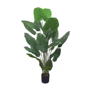 ΔΕΝΤΡΟ REAL TOUCH ΦΙΛΟΔΕΝΤΡΟ ΣΕ ΚΑΣΠΩ - Υ170cm 2/KIBΔΕΝΤΡΟ REAL TOUCH ΦΙΛΟΔΕΝΤΡΟ ΣΕ ΚΑΣΠΩ - Υ170cm 2/KIB