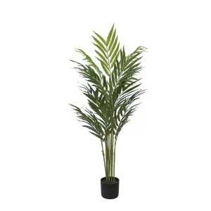 ΔΕΝΤΡΟ REAL TOUCH ΦΟΙΝΙΚΑΣ ΜΠΑΜΟΥ ΣΕ ΚΑΣΠΩ - Y120cm 4/KIBΔΕΝΤΡΟ REAL TOUCH ΦΟΙΝΙΚΑΣ ΜΠΑΜΟΥ ΣΕ ΚΑΣΠΩ - Y120cm 4/KIB