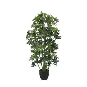 ΔΕΝΤΡΟ ΣΕΦΛΕΡΑ ΣΕ ΚΑΣΠΩ - Υ120cm 2/KIBΔΕΝΤΡΟ ΣΕΦΛΕΡΑ ΣΕ ΚΑΣΠΩ - Υ120cm 2/KIB