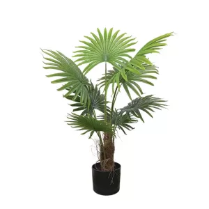ΔΕΝΤΡΟ ΠΙΤΣΑΡΔΙΑ ΦΟΙΝΙΚΑΣ REAL TOUCH ΣΕ ΓΛΑΣΤΡΑ - Υ80cm 6/KIBΔΕΝΤΡΟ ΠΙΤΣΑΡΔΙΑ ΦΟΙΝΙΚΑΣ REAL TOUCH ΣΕ ΓΛΑΣΤΡΑ - Υ80cm 6/KIB