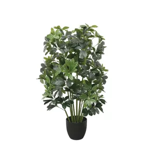 ΔΕΝΤΡΟ ΣΕΦΛΕΡΑ ΣΕ ΚΑΣΠΩ - Υ95cm 2/KIBΔΕΝΤΡΟ ΣΕΦΛΕΡΑ ΣΕ ΚΑΣΠΩ - Υ95cm 2/KIB