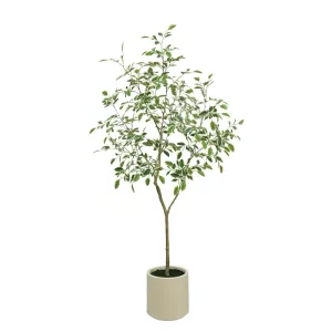 ΔΕΝΤΡΟ ΜΠΕΝΖΑΜΙΝ ΔΙΧΡΩΜΟ REAL TOUCH ΣΕ ΚΑΣΠΩ - Υ180cm 1/KIBΔΕΝΤΡΟ ΜΠΕΝΖΑΜΙΝ ΔΙΧΡΩΜΟ REAL TOUCH ΣΕ ΚΑΣΠΩ - Υ180cm 1/KIB