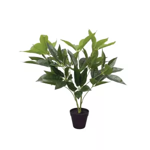 ΔΕΝΤΡΟ TΗΣ ΤΥΧΗΣ ΣΕ ΓΛΑΣΤΡΑ - Υ60cm 6/KIBΔΕΝΤΡΟ TΗΣ ΤΥΧΗΣ ΣΕ ΓΛΑΣΤΡΑ - Υ60cm 6/KIB
