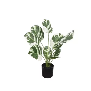 ΔΕΝΤΡΟ REAL TOUCH ΔΙΧΡΩΜΟ ΦΙΛΟΔΕΝΤΡΟ ΣΕ ΚΑΣΠΩ - Υ48cm 6/KIBΔΕΝΤΡΟ REAL TOUCH ΔΙΧΡΩΜΟ ΦΙΛΟΔΕΝΤΡΟ ΣΕ ΚΑΣΠΩ - Υ48cm 6/KIB