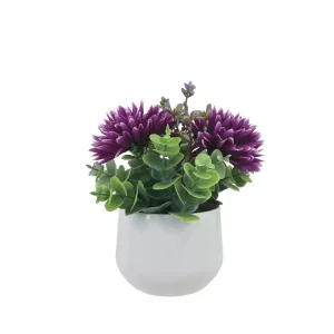 ΓΛΑΣΤΡΑΚΙ ME ΜΩΒ ΧΡΥΣΑΝΘΕΜΑ & ΕΥΚΑΛΥΠΤΟ - Υ18cm 6/12ΚΙΒΓΛΑΣΤΡΑΚΙ ME ΜΩΒ ΧΡΥΣΑΝΘΕΜΑ & ΕΥΚΑΛΥΠΤΟ - Υ18cm 6/12ΚΙΒ