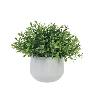 ΓΛΑΣΤΡΑΚΙ ΠΡΑΣΙΝΑΔΑΣ ΓΚΡΑΣΣ - Υ17cm 6/12ΚΙΒΓΛΑΣΤΡΑΚΙ ΠΡΑΣΙΝΑΔΑΣ ΓΚΡΑΣΣ - Υ17cm 6/12ΚΙΒ