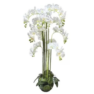 ΦΥΤΟ ΟΡΧΙΔΕΑ ΛΕΥΚΟ ΑΝΘΗ REAL TOUCH - Υ135cm 1/ΚΙΒΦΥΤΟ ΟΡΧΙΔΕΑ ΛΕΥΚΟ ΑΝΘΗ REAL TOUCH - Υ135cm 1/ΚΙΒ