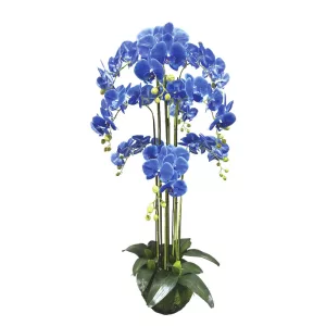 ΦΥΤΟ ΟΡΧΙΔΕΑ ΜΠΛΕ ΑΝΘΗ REAL TOUCH - Y118cm 1/KIBΦΥΤΟ ΟΡΧΙΔΕΑ ΜΠΛΕ ΑΝΘΗ REAL TOUCH - Y118cm 1/KIB