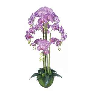 ΦΥΤΟ ΟΡΧΙΔΕΑ ΜΩΒ ΜΕ ΛΕΥΚΕΣ ΡΙΓΕΣ ΑΝΘΗ REAL TOUCH - Y118cm 1/KIBΦΥΤΟ ΟΡΧΙΔΕΑ ΜΩΒ ΜΕ ΛΕΥΚΕΣ ΡΙΓΕΣ ΑΝΘΗ REAL TOUCH - Y118cm 1/KIB