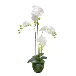 ΦΥΤΟ ΟΡΧΙΔΕΑ ΛΕΥΚΑ ΑΝΘΗ REAL TOUCH - Υ98cm 2/ΚΙΒΦΥΤΟ ΟΡΧΙΔΕΑ ΛΕΥΚΑ ΑΝΘΗ REAL TOUCH - Υ98cm 2/ΚΙΒ