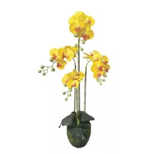 ΦΥΤΟ ΟΡΧΙΔΕΑ ΚΙΤΡΙΝA ΑΝΘΗ REAL TOUCH - Y98cm 2/KIBΦΥΤΟ ΟΡΧΙΔΕΑ ΚΙΤΡΙΝA ΑΝΘΗ REAL TOUCH - Y98cm 2/KIB