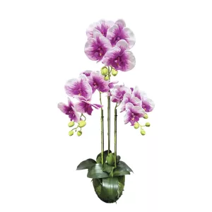 ΦΥΤΟ ΟΡΧΙΔΕΑ ΔΙΧΡΩΜΗ ΜΩΒ/ΛΕΥΚΟ ΑΝΘΗ REAL TOUCH - Υ82cm 2/8ΚΙΒΦΥΤΟ ΟΡΧΙΔΕΑ ΔΙΧΡΩΜΗ ΜΩΒ/ΛΕΥΚΟ ΑΝΘΗ REAL TOUCH - Υ82cm 2/8ΚΙΒ