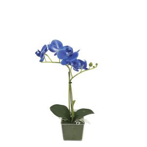 ΜΠΛΕ ΟΡΧΙΔΕΑ REAL TOUCH ΣΕ ΚΑΣΠΩ (2 ΚΛΑΔΙΑ, 5 ΑΝΘΗ) - Y30cm 6/ΚΙΒΜΠΛΕ ΟΡΧΙΔΕΑ REAL TOUCH ΣΕ ΚΑΣΠΩ (2 ΚΛΑΔΙΑ, 5 ΑΝΘΗ) - Y30cm 6/ΚΙΒ