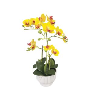 ΚΙΤΡΙΝΟ ΟΡΧΙΔΕΑ REAL TOUCH ΣΕ ΚΑΣΠΩ (3 ΚΛΑΔΙΑ, 15 ΑΝΘΗ) - Y45cm 4/24ΚΙΒΚΙΤΡΙΝΟ ΟΡΧΙΔΕΑ REAL TOUCH ΣΕ ΚΑΣΠΩ (3 ΚΛΑΔΙΑ, 15 ΑΝΘΗ) - Y45cm 4/24ΚΙΒ