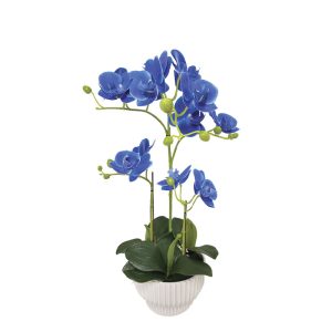 ΜΠΛΕ ΟΡΧΙΔΕΑ REAL TOUCH ΣΕ ΚΑΣΠΩ (3 ΚΛΑΔΙΑ, 15 ΑΝΘΗ) - Y45cm 4/24ΚΙΒΜΠΛΕ ΟΡΧΙΔΕΑ REAL TOUCH ΣΕ ΚΑΣΠΩ (3 ΚΛΑΔΙΑ, 15 ΑΝΘΗ) - Y45cm 4/24ΚΙΒ