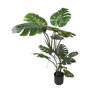 ΔΕΝΤΡΟ REAL TOUCH ΜΟΝΣΤΕΡΑ ΠΡΑΣΙΝΟ ΣΕ ΓΛΑΣΤΡΑ - Y130cm 2/KIBΔΕΝΤΡΟ REAL TOUCH ΜΟΝΣΤΕΡΑ ΠΡΑΣΙΝΟ ΣΕ ΓΛΑΣΤΡΑ - Y130cm 2/KIB