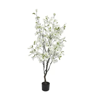 ΔΕΝΤΡΟ ΚΡΑΝΙΑ ΛΕΥΚΟ ΣΕ ΓΛΑΣΤΡΑ - Y135cm 4/KIBΔΕΝΤΡΟ ΚΡΑΝΙΑ ΛΕΥΚΟ ΣΕ ΓΛΑΣΤΡΑ - Y135cm 4/KIB