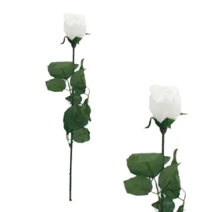 ΚΛΑΔΙ ΜΠΑΚΑΡΑΣ ΛΕΥΚΟ MONO Υ64cm. 48/576KIBΚΛΑΔΙ ΜΠΑΚΑΡΑΣ ΛΕΥΚΟ MONO Υ64cm. 48/576KIB