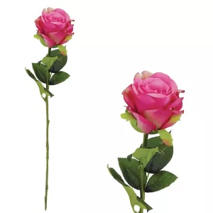 ΚΛΑΔΙ ΤΡΙΑΝΤΑΦΥΛΛΟ ΦΟΥΞ BEAUTY 48/480KIBΚΛΑΔΙ ΤΡΙΑΝΤΑΦΥΛΛΟ ΦΟΥΞ BEAUTY 48/480KIB