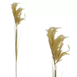 ΚΛΑΔΙ ΠΑΜΠΑΣ ΚΟΝΤΟ ΚΑΦΕ - Y110cm 125/500KIBΚΛΑΔΙ ΠΑΜΠΑΣ ΚΟΝΤΟ ΚΑΦΕ - Y110cm 125/500KIB