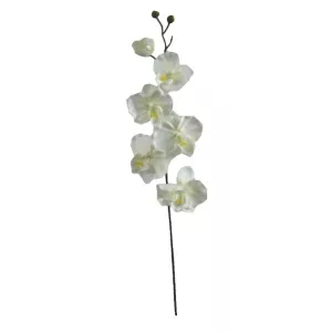 ΚΛΑΔΙ ΟΡΧΙΔΕΑ ΣΑΜΠΑΝΙ Y72cm. 36/432ΚΙΒΚΛΑΔΙ ΟΡΧΙΔΕΑ ΣΑΜΠΑΝΙ Y72cm. 36/432ΚΙΒ