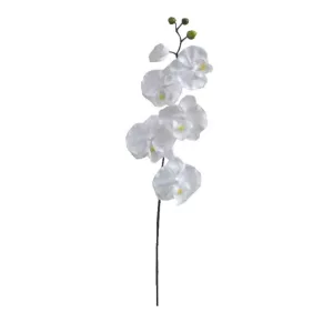 ΚΛΑΔΙ ΟΡΧΙΔΕΑ ΛΕΥΚΟ Y72cm. 36/432ΚΙΒΚΛΑΔΙ ΟΡΧΙΔΕΑ ΛΕΥΚΟ Y72cm. 36/432ΚΙΒ