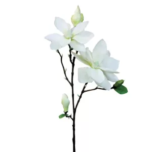 ΚΛΑΔΙ ΜΑΝΩΛΙΑ EKΡOY Y83cm. 12/144KIBΚΛΑΔΙ ΜΑΝΩΛΙΑ EKΡOY Y83cm. 12/144KIB