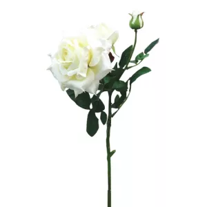 ΚΛΑΔΙ ΤΡΙΑΝΤΑΦΥΛΛΟ ΛΕΥΚΟ ΒΕΛΟΥΔΟ MONO Y67cm. 12/144KIBΚΛΑΔΙ ΤΡΙΑΝΤΑΦΥΛΛΟ ΛΕΥΚΟ ΒΕΛΟΥΔΟ MONO Y67cm. 12/144KIB