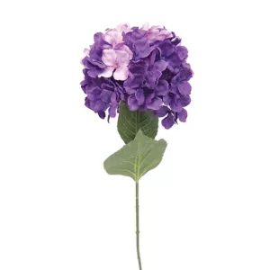 ΚΛΑΔΙ ΟΡΤΑΝΣΙΑ ΜΩΒ Y74cm. 18/144KIBΚΛΑΔΙ ΟΡΤΑΝΣΙΑ ΜΩΒ Y74cm. 18/144KIB