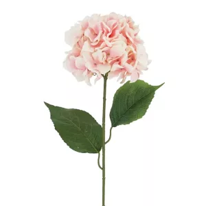ΚΛΑΔΙ ΟΡΤΑΝΣΙΑ ΣΟΜΟΝ Y74cm 18/144KIBΚΛΑΔΙ ΟΡΤΑΝΣΙΑ ΣΟΜΟΝ Y74cm 18/144KIB