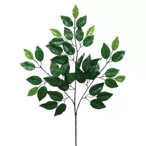 ΚΛΑΔΙ ΦΥΛΛA ΜΠΕΝΖΑΜΙΝ ΠΡΑΣΙΝΟ - Y55cm 1/720ΚΙΒΚΛΑΔΙ ΦΥΛΛA ΜΠΕΝΖΑΜΙΝ ΠΡΑΣΙΝΟ - Y55cm 1/720ΚΙΒ