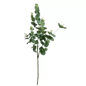 ΚΛΑΔΙ ΕΥΚΑΛΥΠΤΟΣ ΠΡΑΣΙΝΟ Y90cm. 24/192 ΚΙΒΚΛΑΔΙ ΕΥΚΑΛΥΠΤΟΣ ΠΡΑΣΙΝΟ Y90cm. 24/192 ΚΙΒ