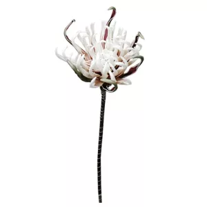 FOAM ΣΟΜΟΝ ΑΓΚΙΝΑΡΑ Y82cm. 12/120ΚΙΒFOAM ΣΟΜΟΝ ΑΓΚΙΝΑΡΑ Y82cm. 12/120ΚΙΒ