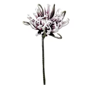 FOAM ΜΩΒ ΑΓΚΙΝΑΡΑ Y82cm. 12/120ΚΙΒFOAM ΜΩΒ ΑΓΚΙΝΑΡΑ Y82cm. 12/120ΚΙΒ