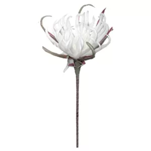 FOAM ΛΕΥΚΟ ΑΓΚΙΝΑΡΑ Y82cm. 12/120ΚΙΒFOAM ΛΕΥΚΟ ΑΓΚΙΝΑΡΑ Y82cm. 12/120ΚΙΒ