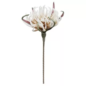 FOAM ΚΑΦΕ ΝΕΟ ΑΓΚΙΝΑΡΑ Y82cm. 12/120ΚΙΒFOAM ΚΑΦΕ ΝΕΟ ΑΓΚΙΝΑΡΑ Y82cm. 12/120ΚΙΒ