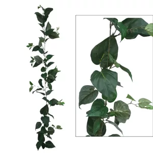ΓΙΡΛΑΝΤΑ ΠΟΘΟΣ ΠΡΑΣΙΝΟ (122 ΦΥΛΛΑ) Y180cm. 12/72ΚΙΒΓΙΡΛΑΝΤΑ ΠΟΘΟΣ ΠΡΑΣΙΝΟ (122 ΦΥΛΛΑ) Y180cm. 12/72ΚΙΒ