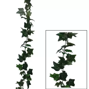 ΓIΡΛΑΝΤΑ ΚΙΣΣΟΣ ΠΡΑΣΙΝΟΣ (122 ΦΥΛΛΑ) Y180cm. 12/72ΚΙΒΓIΡΛΑΝΤΑ ΚΙΣΣΟΣ ΠΡΑΣΙΝΟΣ (122 ΦΥΛΛΑ) Y180cm. 12/72ΚΙΒ
